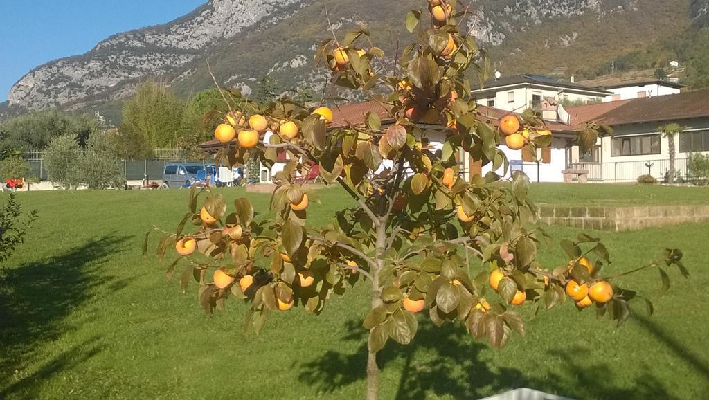 Agriturismo Trefrutti Arco Dış mekan fotoğraf