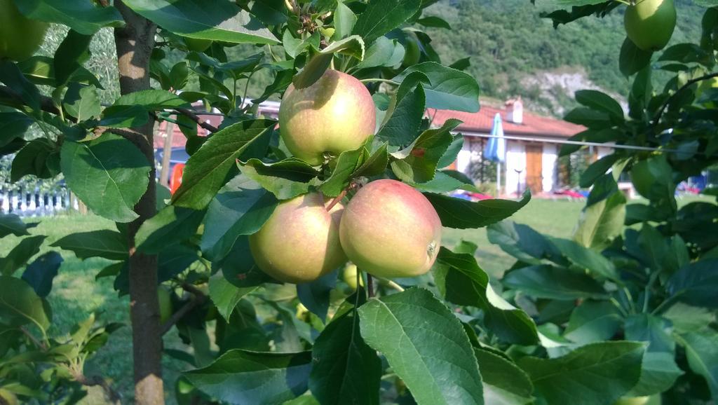 Agriturismo Trefrutti Arco Dış mekan fotoğraf